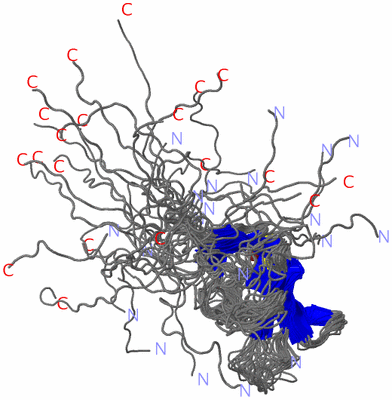 Image NMR Structure - all models