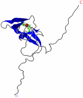 Image NMR Structure - model 1, sites