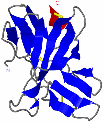 Image NMR Structure - model 1