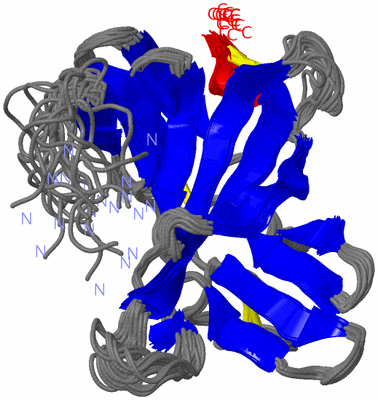 Image NMR Structure - all models