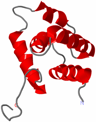 Image NMR Structure - model 1