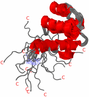 Image NMR Structure - all models