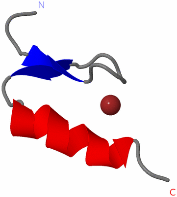 Image NMR Structure - model 1