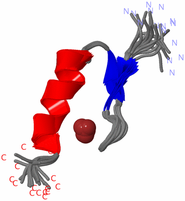 Image NMR Structure - all models