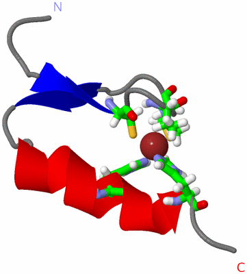 Image NMR Structure - model 1, sites