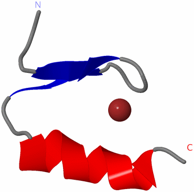 Image NMR Structure - model 1