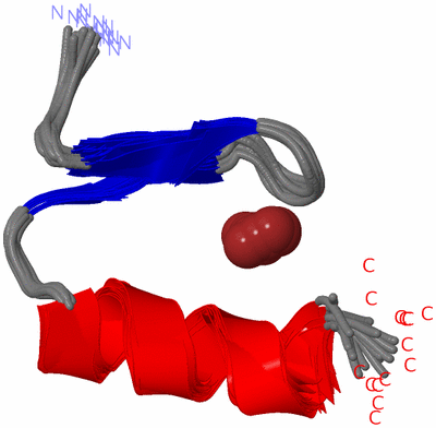 Image NMR Structure - all models