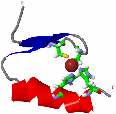 Image NMR Structure - model 1, sites