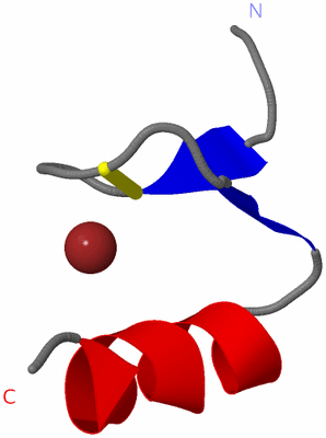 Image NMR Structure - model 1