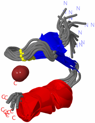 Image NMR Structure - all models