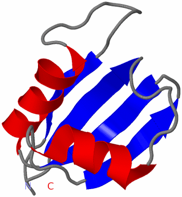 Image NMR Structure - model 1