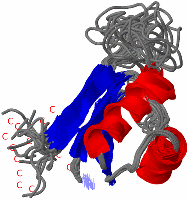 Image NMR Structure - all models