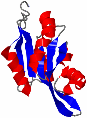 Image NMR Structure - model 1