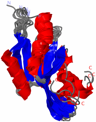 Image NMR Structure - all models
