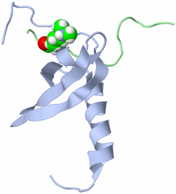 Image NMR Structure - model 1