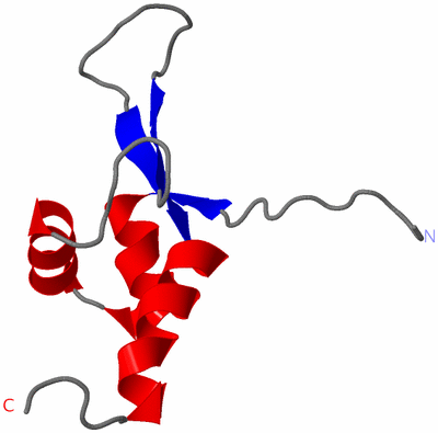 Image NMR Structure - model 1