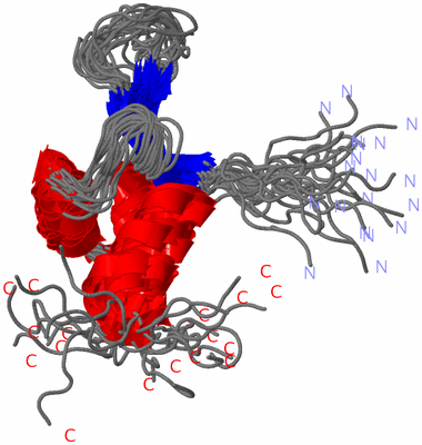 Image NMR Structure - all models