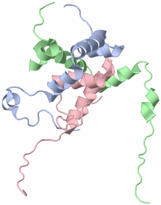 Image NMR Structure - model 1