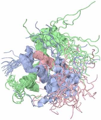 Image NMR Structure - all models