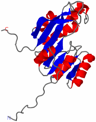 Image NMR Structure - model 1