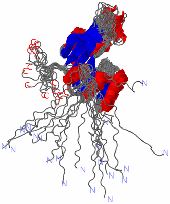 Image NMR Structure - all models