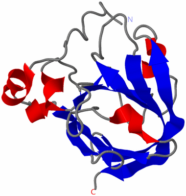 Image NMR Structure - model 1