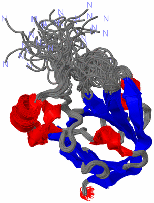 Image NMR Structure - all models