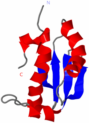 Image NMR Structure - model 1