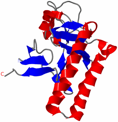 Image NMR Structure - model 1