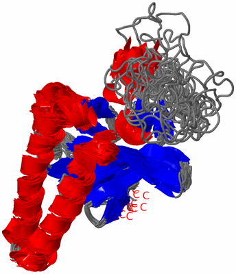 Image NMR Structure - all models