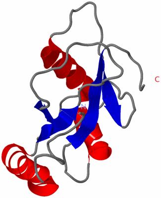 Image NMR Structure - model 1