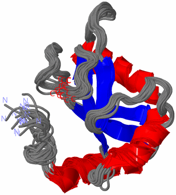 Image NMR Structure - all models