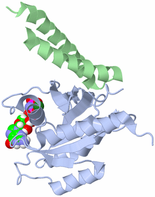 Image NMR Structure - model 1
