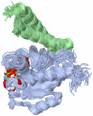 Image NMR Structure - all models
