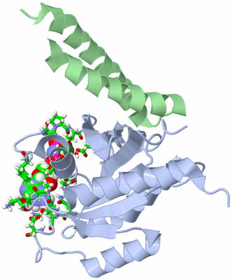 Image NMR Structure - model 1, sites