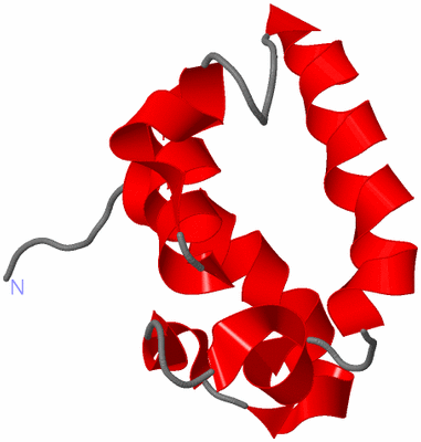 Image NMR Structure - model 1