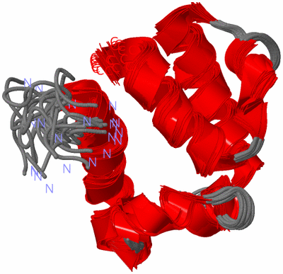 Image NMR Structure - all models