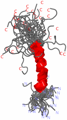 Image NMR Structure - all models