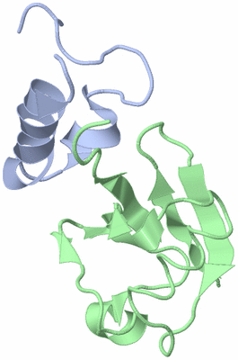 Image NMR Structure - model 1