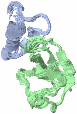 Image NMR Structure - all models