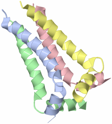 Image NMR Structure - model 1