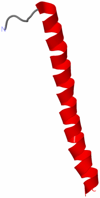 Image NMR Structure - model 1