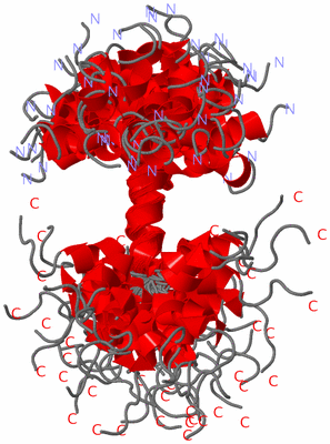 Image NMR Structure - all models