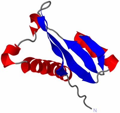 Image NMR Structure - model 1