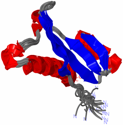 Image NMR Structure - all models