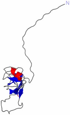 Image NMR Structure - model 1