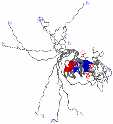 Image NMR Structure - all models