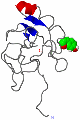 Image NMR Structure - model 1