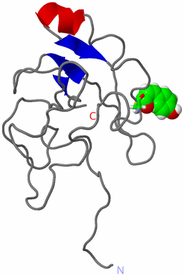 Image NMR Structure - model 1, sites