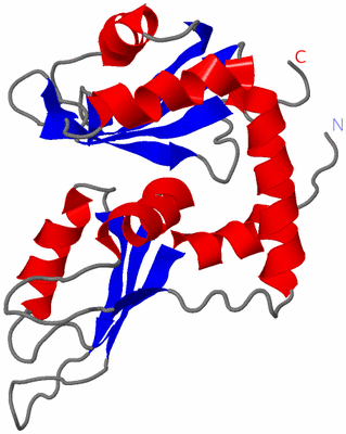 Image NMR Structure - model 1